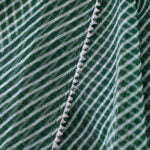 Hand dyed pure green organza saree