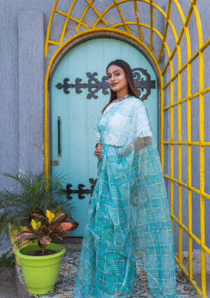 Hand Dyed - Pure Blue - Organza Saree