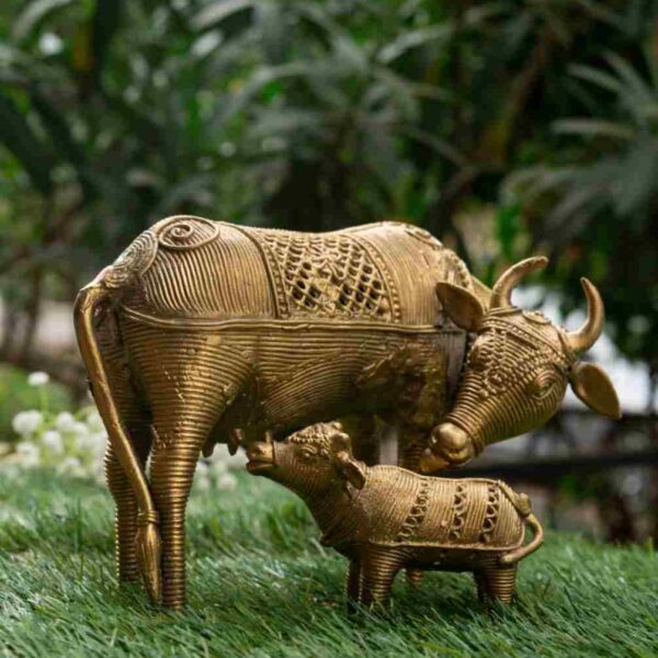 Kapila & Her Calf