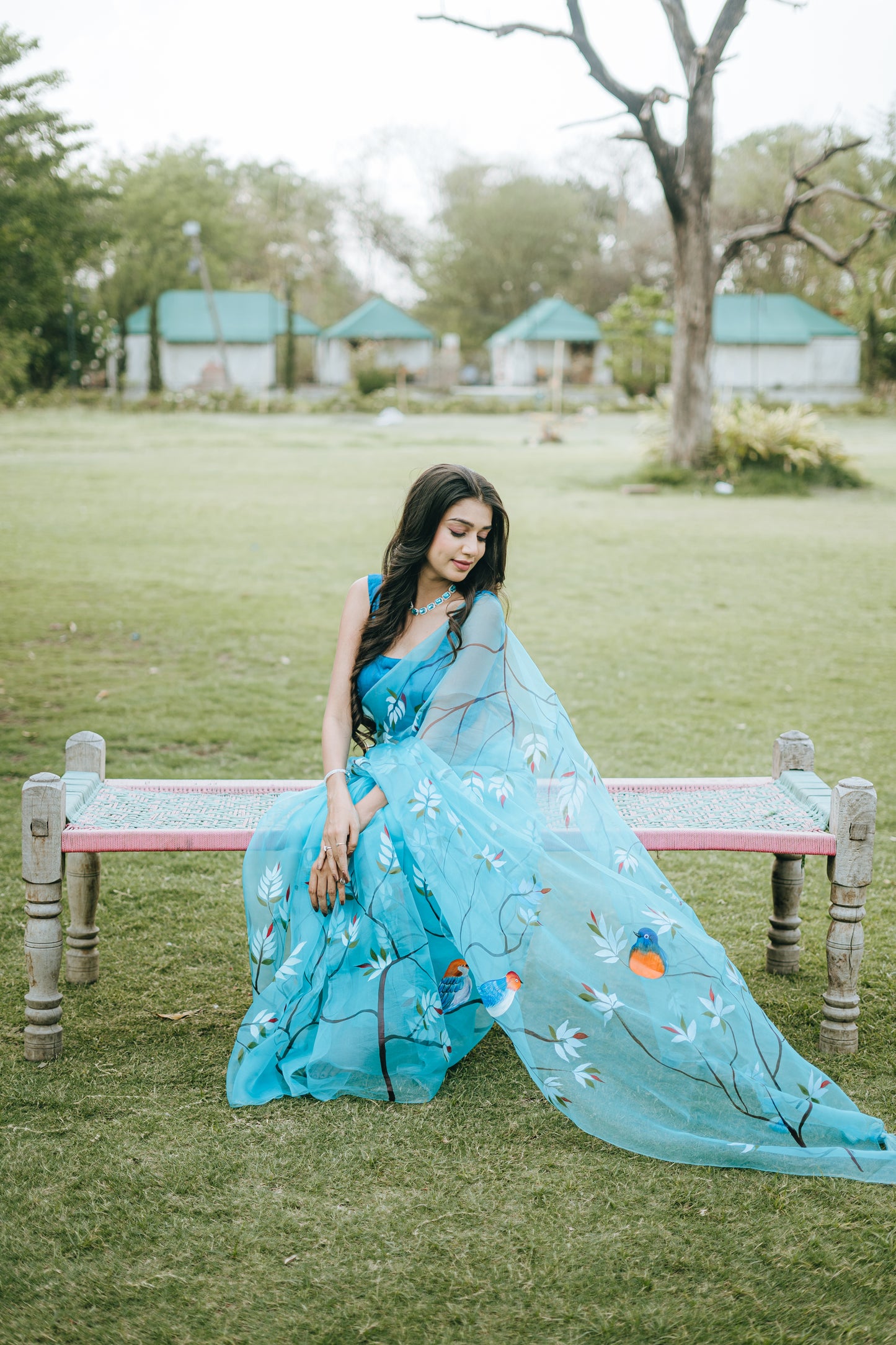 Blue Organza saree hand painted