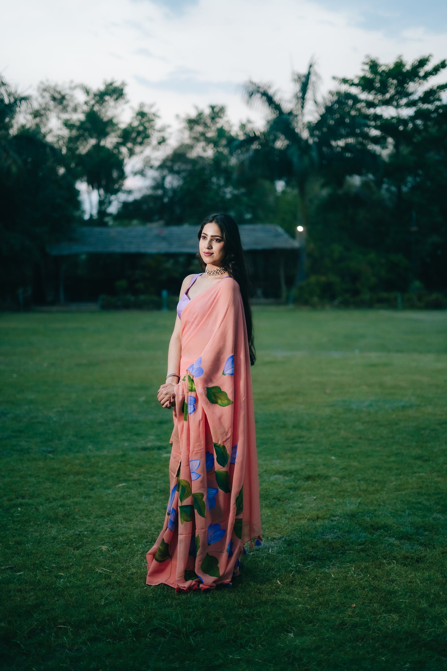Peach Georgette saree hand painted