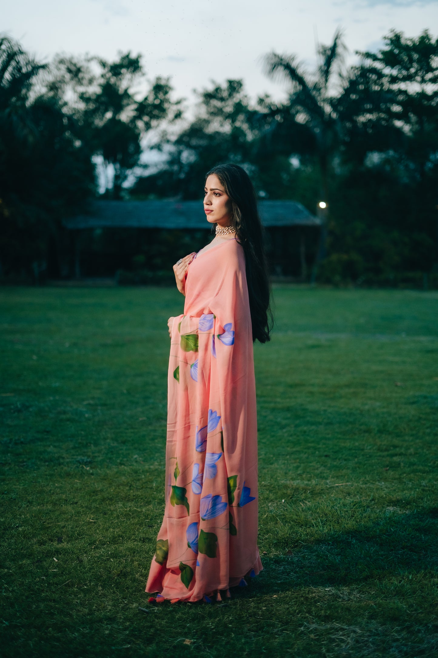 Peach Georgette saree hand painted