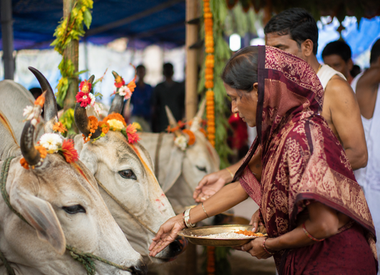 Gamha Purnima in Odisha: Traditions, Rituals & Handloom Heritage | Atulyakarigari