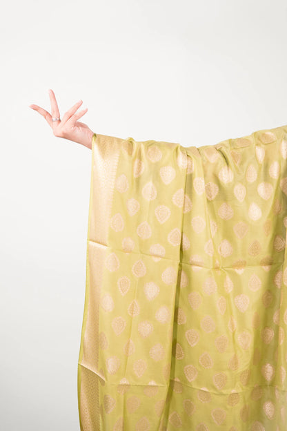 Pistachio Green Floral Booti Banarasi Dupatta