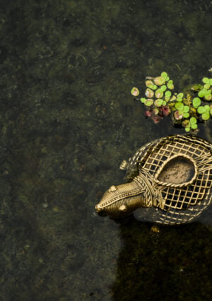 Dhokra turtle with Lamp