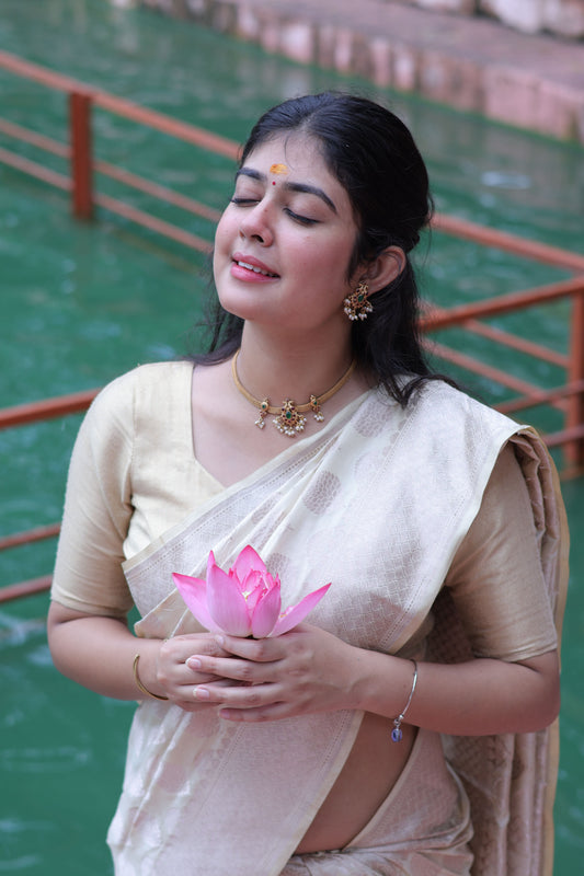 white banarasi saree