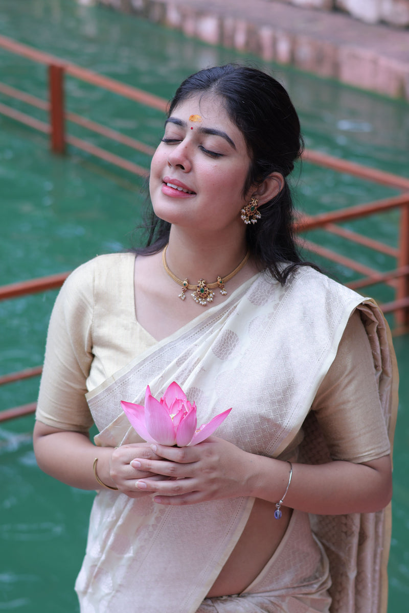 white banarasi saree