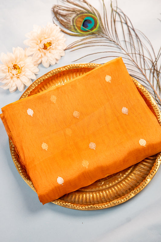 Burnt Amber Tissue Silk Saree
