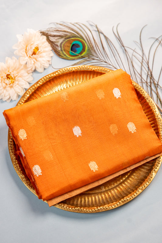 Amber Gold Tissue Silk Saree