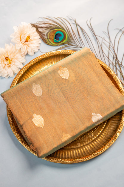Soft Sage Green with Muted Gold Sheen Tissue Silk Saree