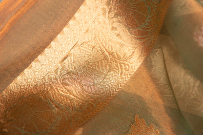 Soft Sage Green with Muted Gold Sheen Tissue Silk Saree