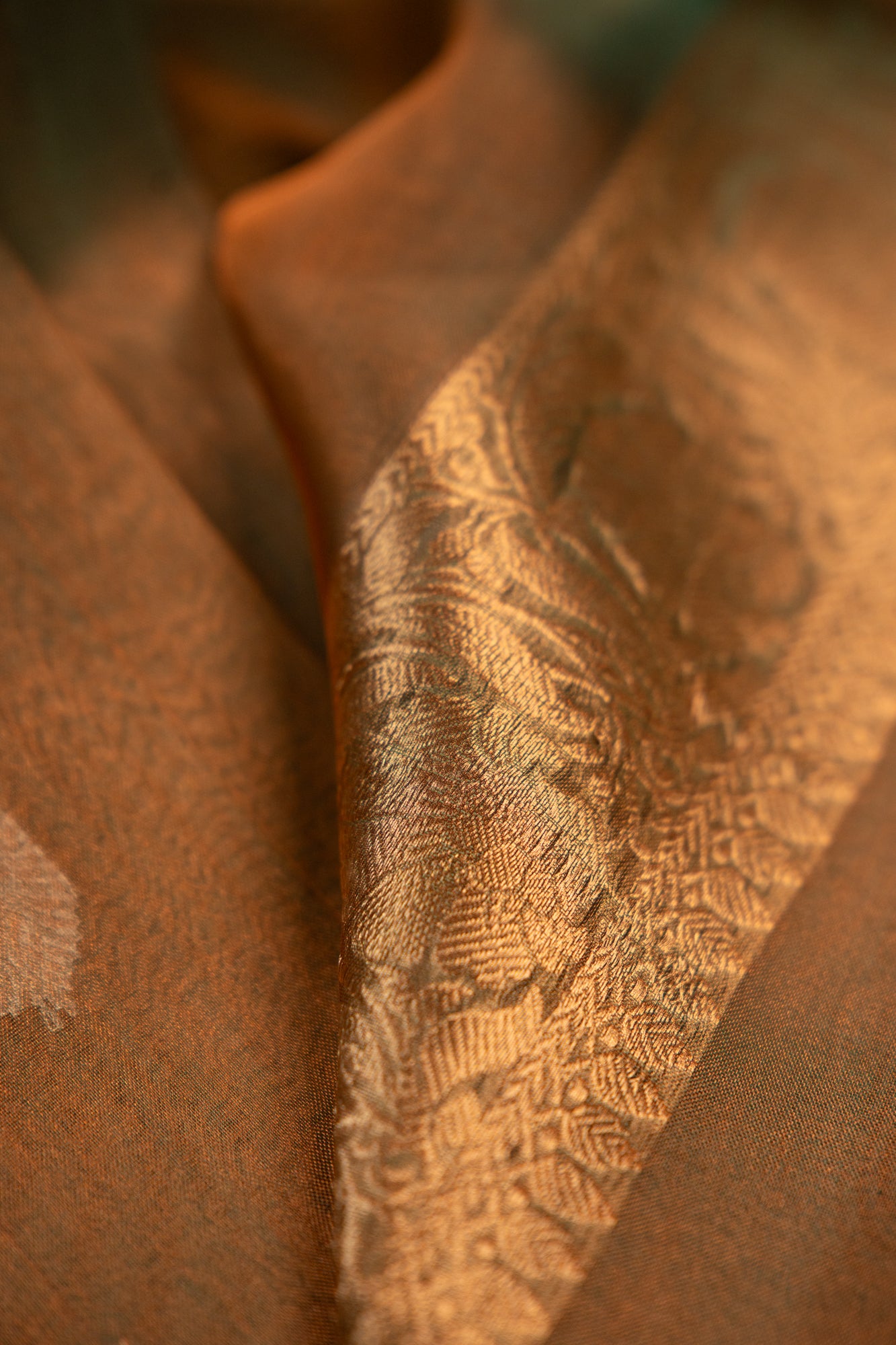 Soft Sage Green with Muted Gold Sheen Tissue Silk Saree