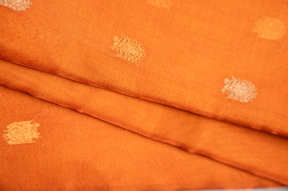 Amber Gold Tissue Silk Saree