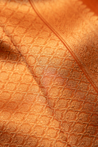 Amber Gold Tissue Silk Saree