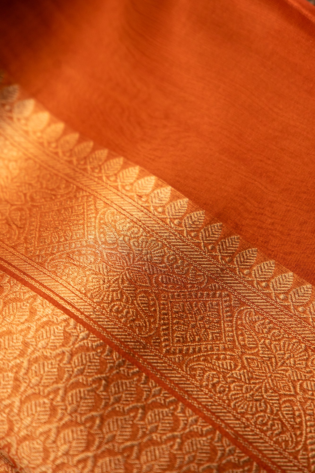 Amber Gold Tissue Silk Saree