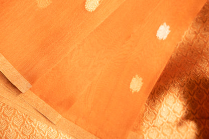 Amber Gold Tissue Silk Saree