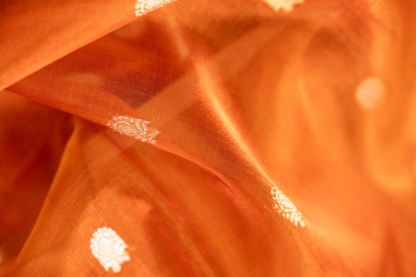 Amber Gold Tissue Silk Saree