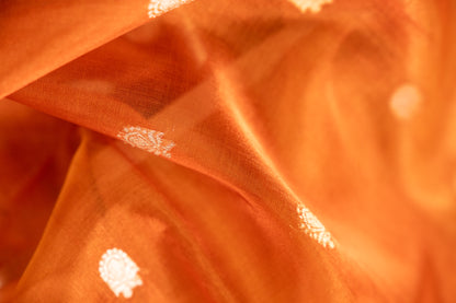 Amber Gold Tissue Silk Saree