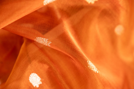 Amber Gold Tissue Silk Saree