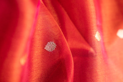 Magenta Red/Rani Pink Tissue Silk Saree