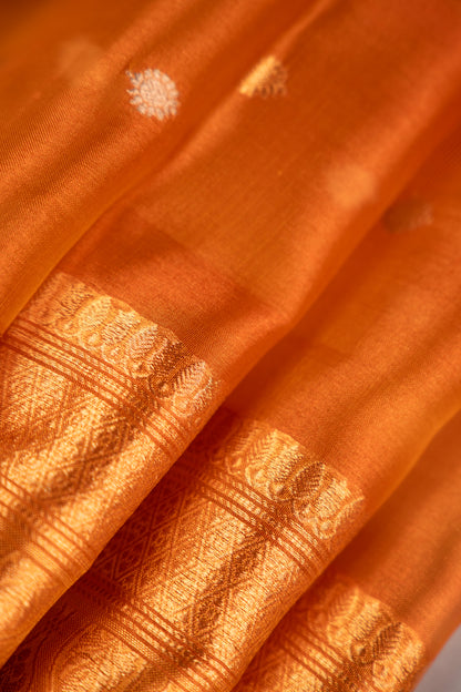 Burnt Amber Tissue Silk Saree