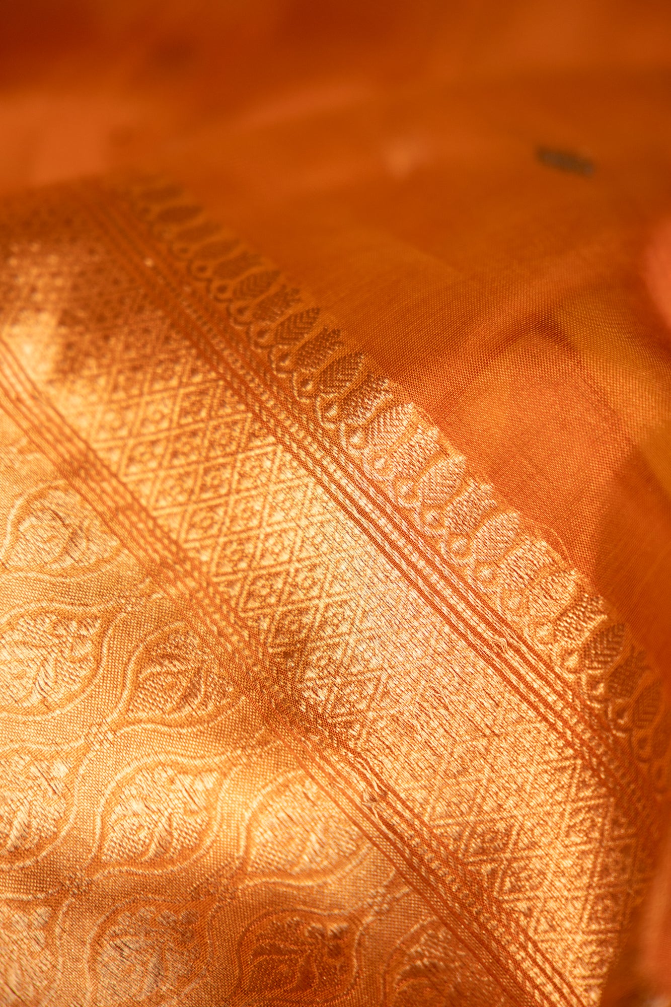 Burnt Amber Tissue Silk Saree