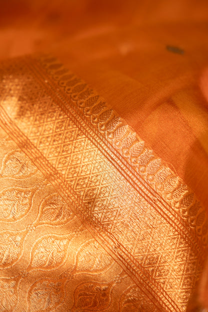Burnt Amber Tissue Silk Saree
