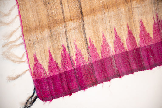 Rich Natural Tan-Beige with Deep Plum/Magenta Tussar Silk Dupatta