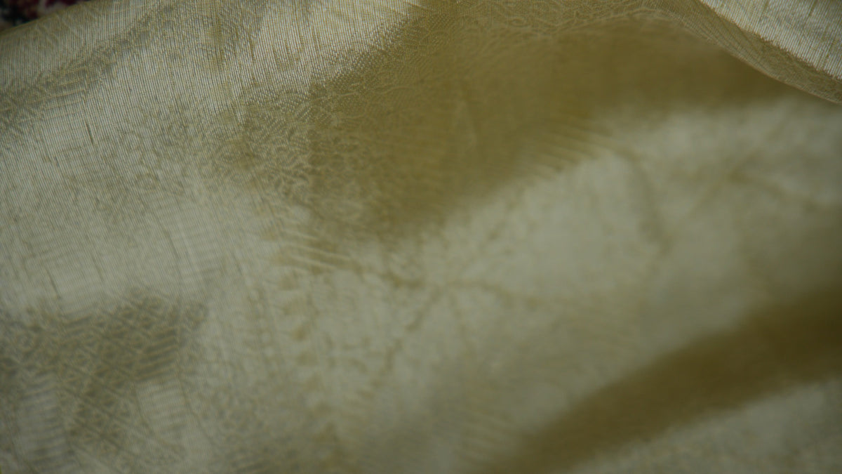Antique Gold Tissue Silk Saree