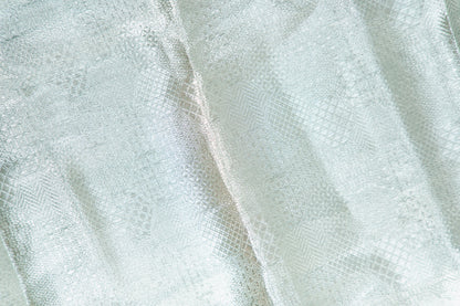 Metallic Silver-Grey Tissue Silk Saree