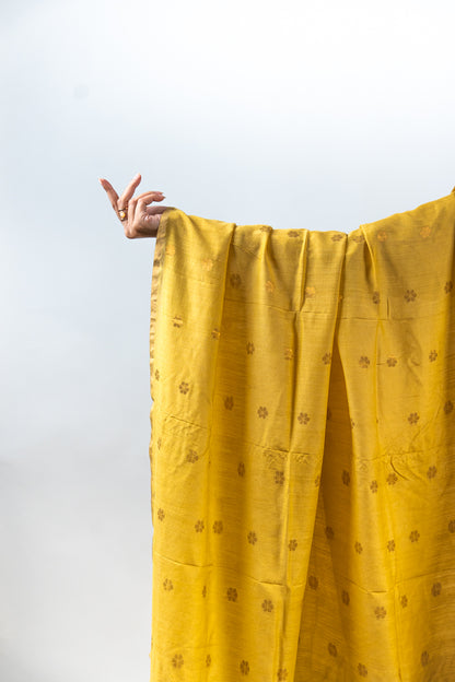 Yellow Mandala Zari Banarasi Moonga Silk Dupatta