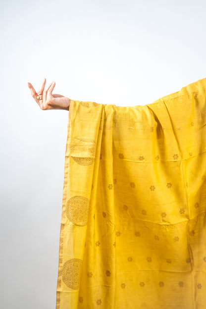 Yellow Mandala Zari Banarasi Moonga Silk Dupatta