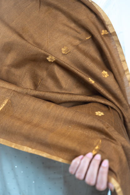 Bronze Brown Mandala Zari Banarasi Moonga Silk Dupatta