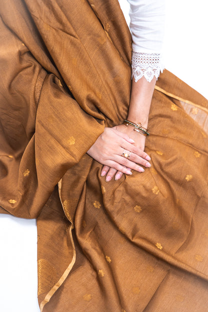 Bronze Brown Mandala Zari Banarasi Moonga Silk Dupatta