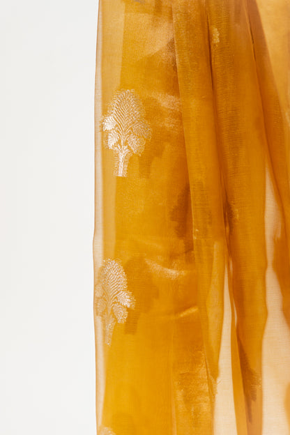 Mustard yellow Tissue Silk Saree