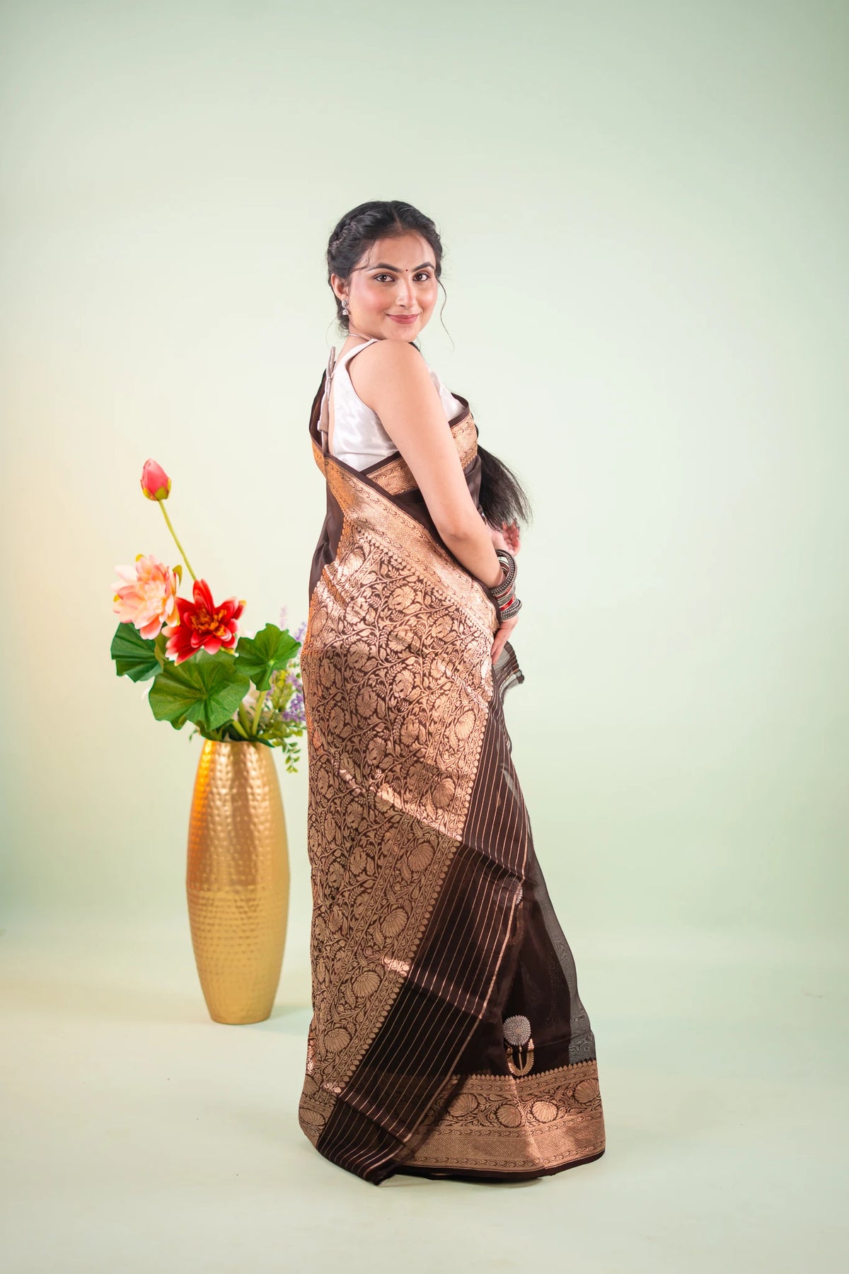 Dark Brown Banarasi Silk Saree - back view