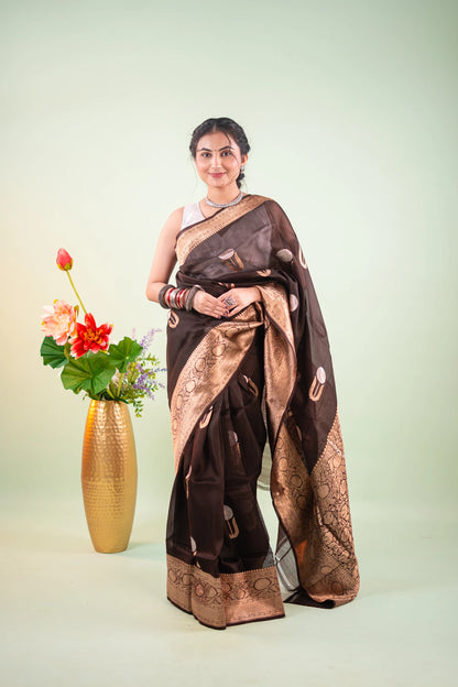 Dark Brown Banarasi Silk Saree - full front view
