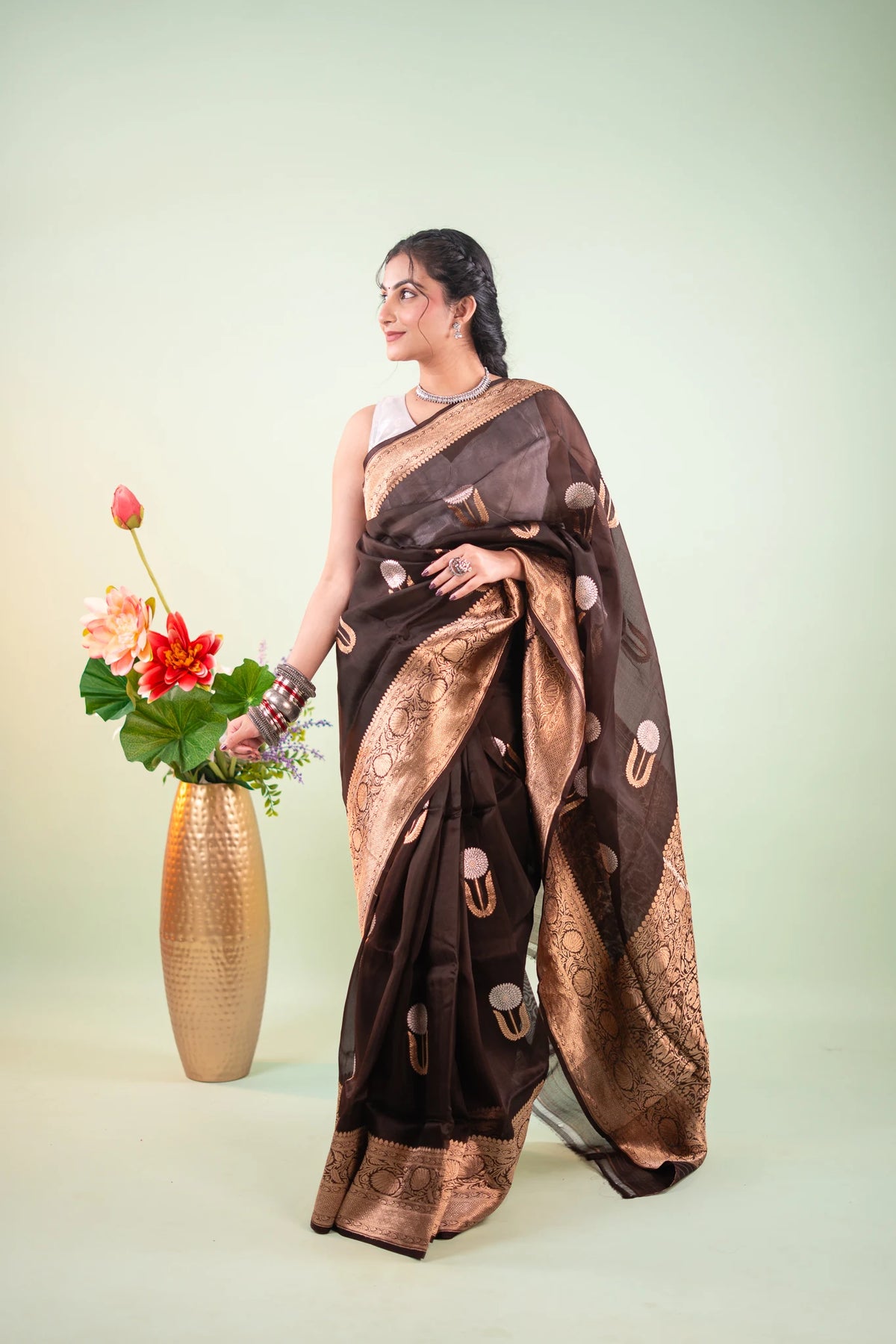 Dark Brown Banarasi Silk Saree - pallu on shoulder
