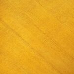 Pure Raw Silk Fabrics - Atulyakarigari