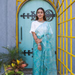 Hand Dyed - Pure Blue - Organza Saree