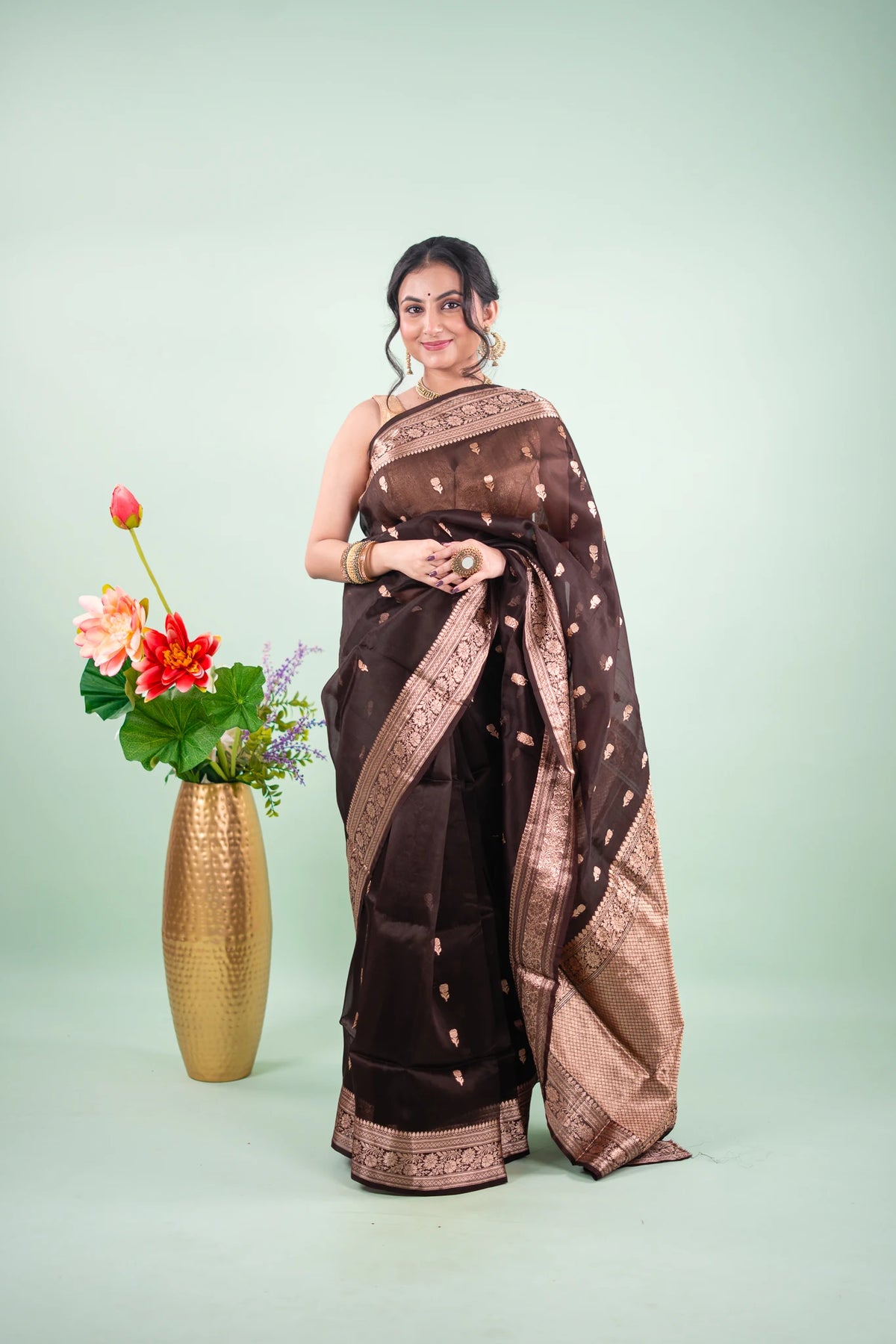 Espresso Brown Banarasi Silk Saree - Wreath Medallions - image 1
