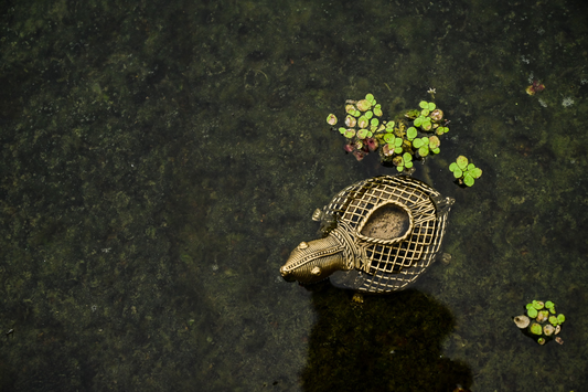 Dhokra turtle with Lamp