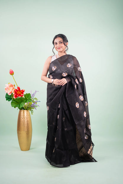 Jet Black Banarasi Silk Saree - full front view