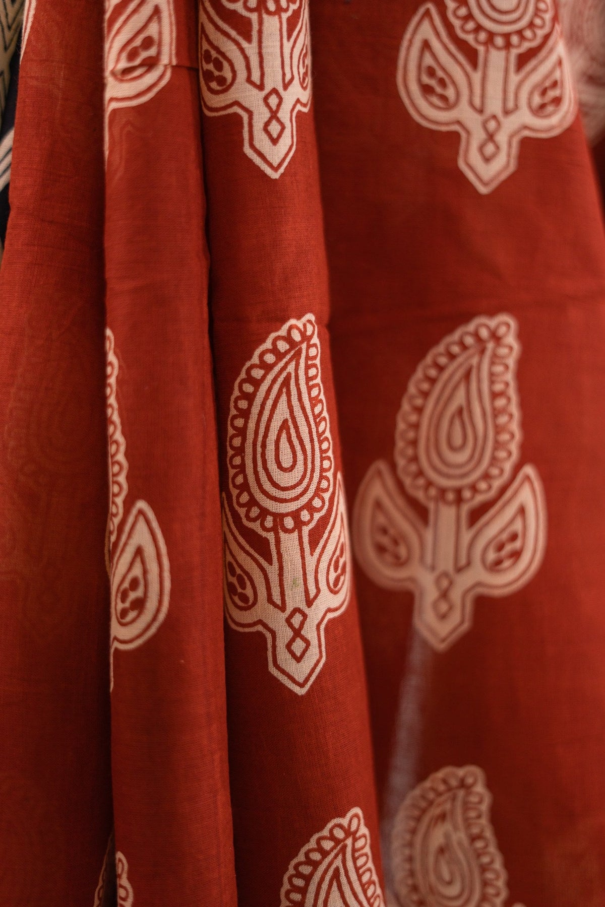 Terracotta Paisley Temple Border Mul Mul Cotton Saree