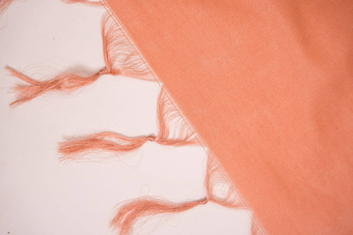 Terracotta Rust Leaf Banarasi Dupatta