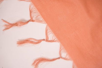 Terracotta Rust Leaf Banarasi Dupatta