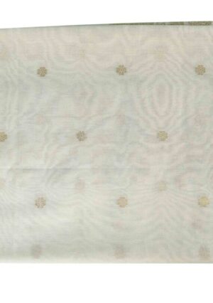 AKI-DSLK-022-Dupatta_003-570×809