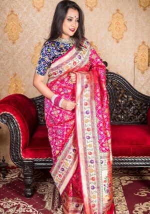 Patola IKAT with Banrasi weaves
