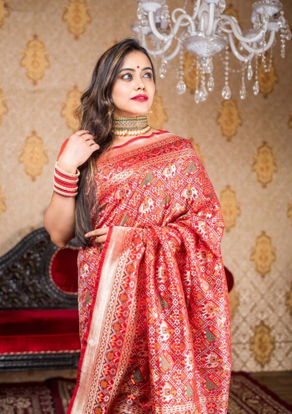 Patola IKAT with Banrasi weaves